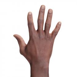 Kamoni Mccray Retopo Hand Scan